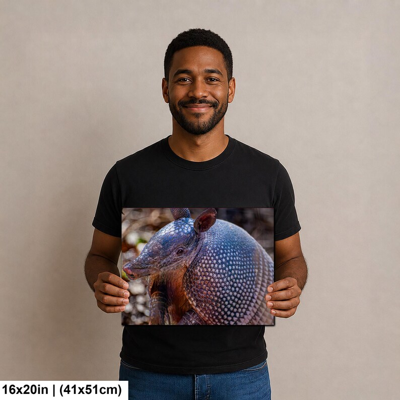May include: A rectangular wall art print featuring a detailed photograph of an armadillo with a textured, greyish-blue armored shell and a pointed snout. The print measures 16 inches by 20 inches and displays the animal in a natural setting.
