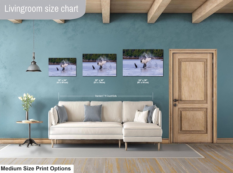 May include: A living room size chart displaying three rectangular wall art prints of an orca breaching in water. The prints are labeled with dimensions: 16 x 24 inches, 20 x 30 inches, and 24 x 36 inches, positioned above a beige sectional sofa.