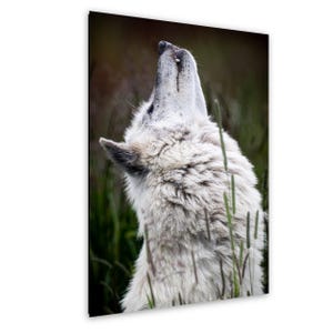Howling White Wolf Alaska Print, Rustic Cabin Lodge Wall Art
