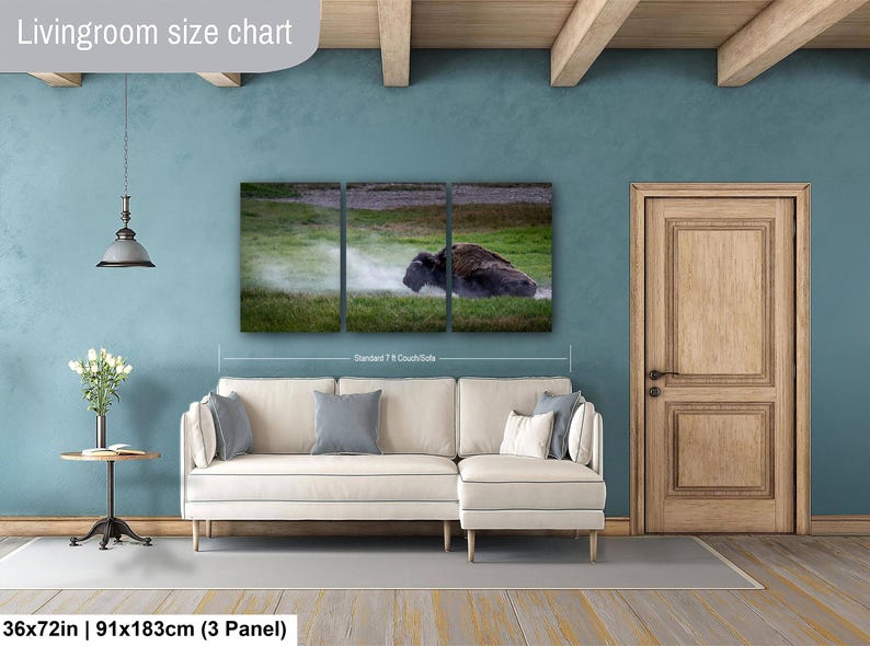 Bison Dust Bath Yellowstone Lamar Valley Fine Art bild 16