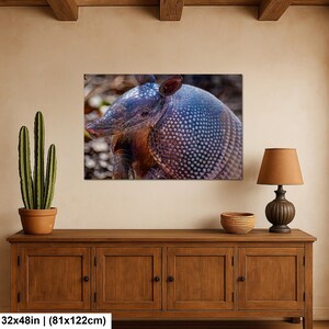 May include: A rectangular wall art print featuring a close-up of an armadillo with a textured, armored shell and a pointed snout. The print measures 32 inches by 48 inches, as indicated by the text in the bottom left corner of the image.