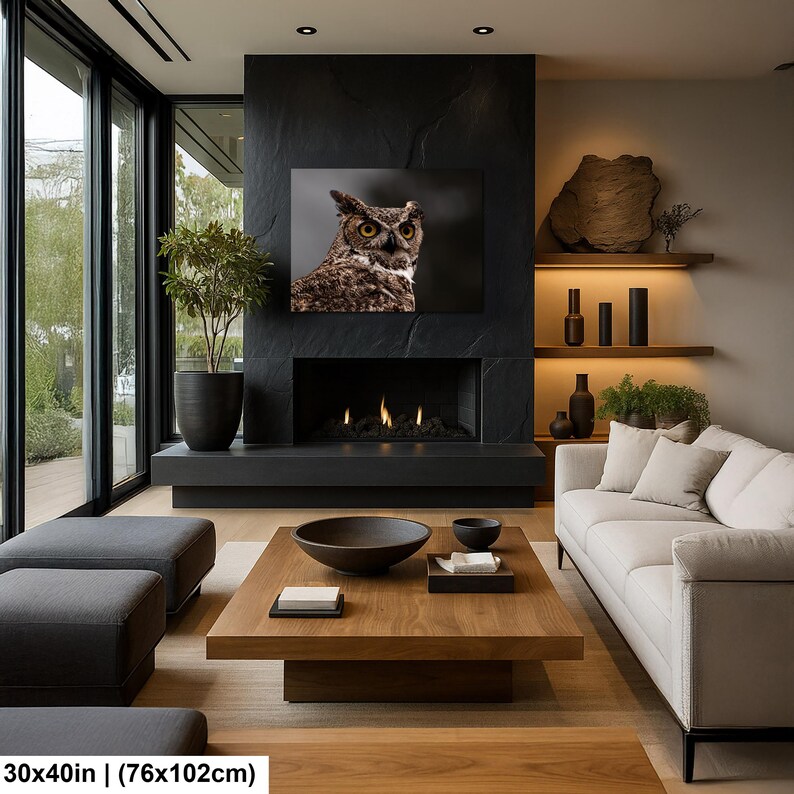 May include: A rectangular wall art print featuring a detailed portrait of a brown owl with yellow eyes, measuring 30 by 40 inches. The artwork is displayed above a black fireplace in a living room with a wooden coffee table and a white sofa.