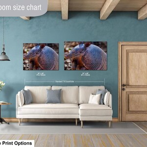 May include: A living room size chart featuring two rectangular wall art prints of an armadillo displayed above a cream-colored sectional sofa. The prints are labeled with dimensions of 30 x 40 inches and 32 x 48 inches, showing scale relative to a 7-foot couch.