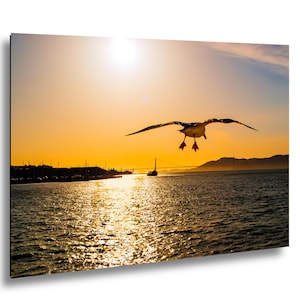 May include: A seagull in flight with wings spread wide against a bright golden sunset over a body of water. The sun reflects on the rippling surface, while a distant bridge and landmass are visible on the horizon under a clear orange sky.