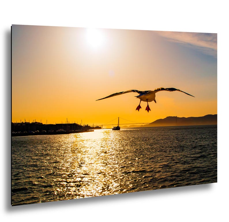 May include: A seagull in flight with wings spread wide against a bright golden sunset over a body of water. The sun reflects on the rippling surface, while a distant bridge and landmass are visible on the horizon under a clear orange sky.