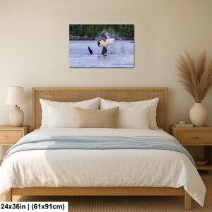 May include: A rectangular wall art print featuring a black and white orca whale breaching the surface of blue water, creating a large splash. The orca is positioned in the center with a dark green forest shoreline in the background. The print measures 24 by 36 inches.