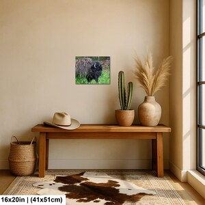 May include: A rectangular wall art print featuring a dark brown bison standing in green grass. The print measures 16 inches by 20 inches and is displayed on a wall above a wooden bench, a beige hat, a potted cactus, and a dried plant in a vase.