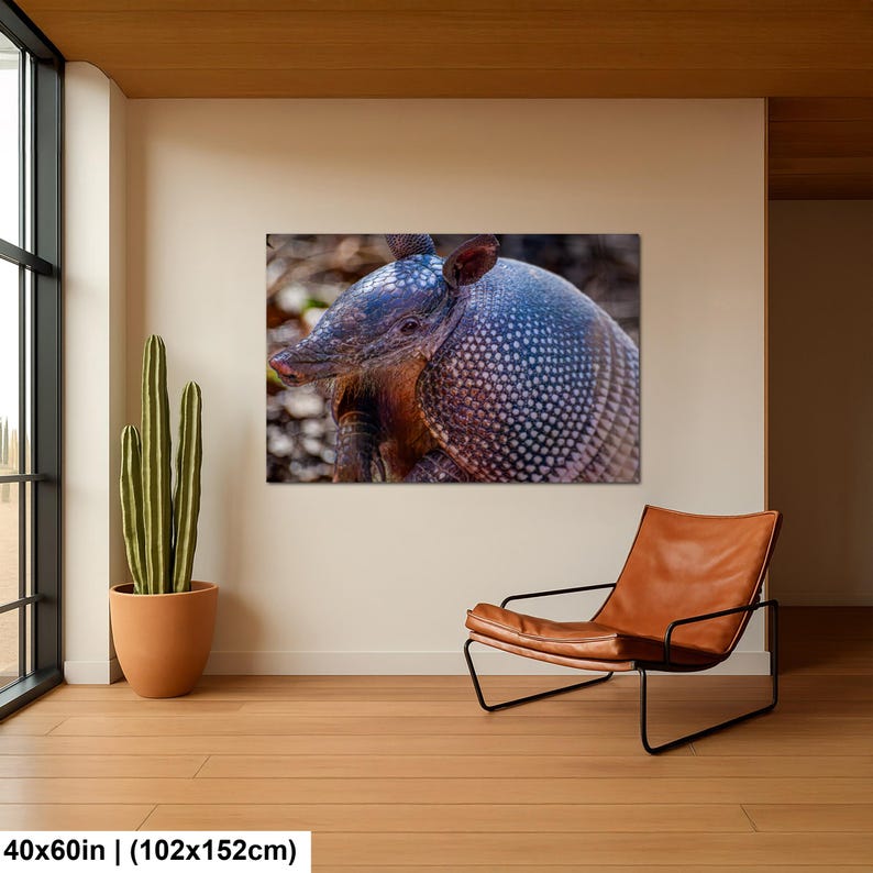 May include: A rectangular wall art print featuring a close-up photograph of an armadillo with a textured, patterned shell and a pointed snout. The artwork measures 40 by 60 inches and is displayed on a plain wall above a leather chair.