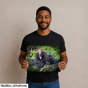 May include: A rectangular wall art print measuring 16 by 20 inches featuring a high-resolution photograph of a large brown bear sitting in a grassy field with yellow wildflowers. The bear is captured with its mouth wide open in a yawn.