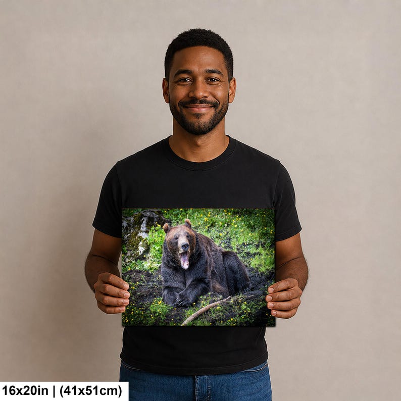 May include: A rectangular wall art print measuring 16 by 20 inches featuring a high-resolution photograph of a large brown bear sitting in a grassy field with yellow wildflowers. The bear is captured with its mouth wide open in a yawn.
