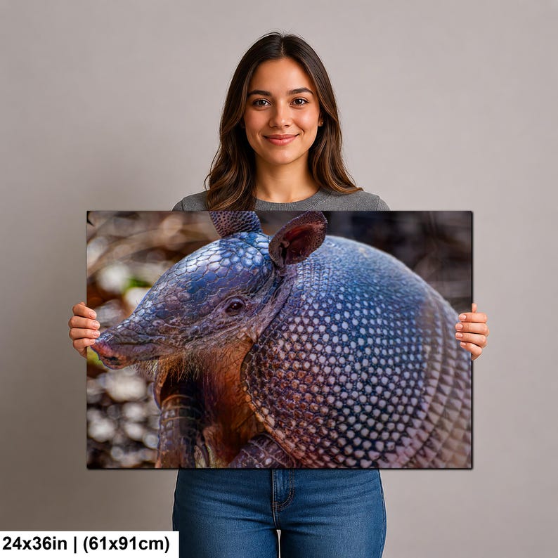 May include: A rectangular wall art print measuring 24x36 inches featuring a detailed close-up photograph of an armadillo. The animal displays a textured, armored shell with blue and grey scales, a pointed snout, and prominent ears, set against a blurred natural background.