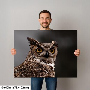 May include: A rectangular wall art print featuring a detailed close-up of a great horned owl with mottled brown and black feathers and bright yellow eyes. The print measures 30 by 40 inches and displays a sharp, high-contrast wildlife photograph.