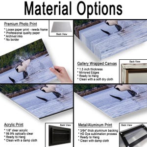 May include: A product display showing four material options for a whale tail photograph: a loose premium photo print, a 1.5 inch thick gallery wrapped canvas, a 1/8 inch clear acrylic print, and a 3/64 inch thick metal aluminum print with back views.