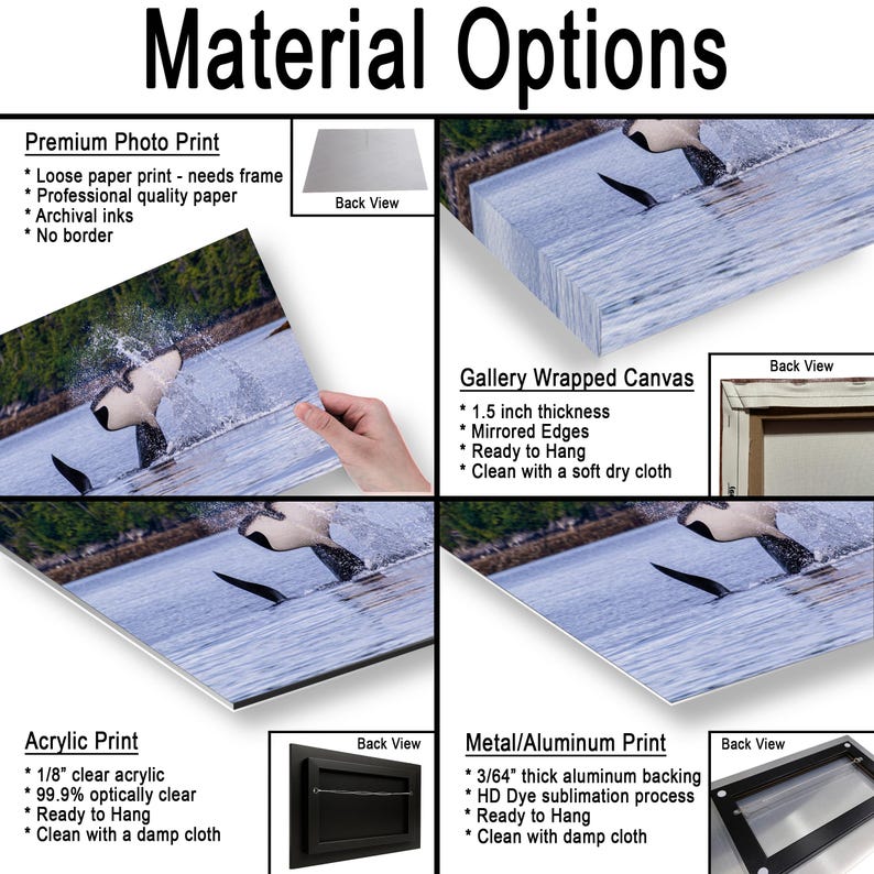 May include: A product display showing four material options for a whale tail photograph: a loose premium photo print, a 1.5 inch thick gallery wrapped canvas, a 1/8 inch clear acrylic print, and a 3/64 inch thick metal aluminum print with back views.