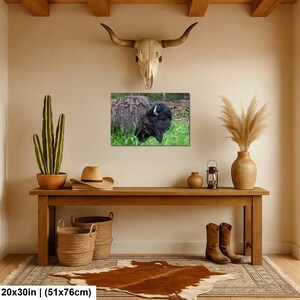 May include: A rectangular wall art print measuring 20 by 30 inches featuring a dark brown bison standing in a green grassy field. The print is displayed on a beige wall beneath a white animal skull mount and above a wooden console table.