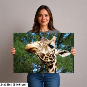 K&ouml;nnte beinhalten: Ein rechteckiger Wandkunstdruck mit einer Nahaufnahme eines Giraffenkopfes mit braun-cremefarbenem Musterfell vor einem Hintergrund aus gr&uuml;nen Baumzweigen und blauem Himmel. Der Druck misst 61 cm mal 91 cm, wie im Text angegeben.