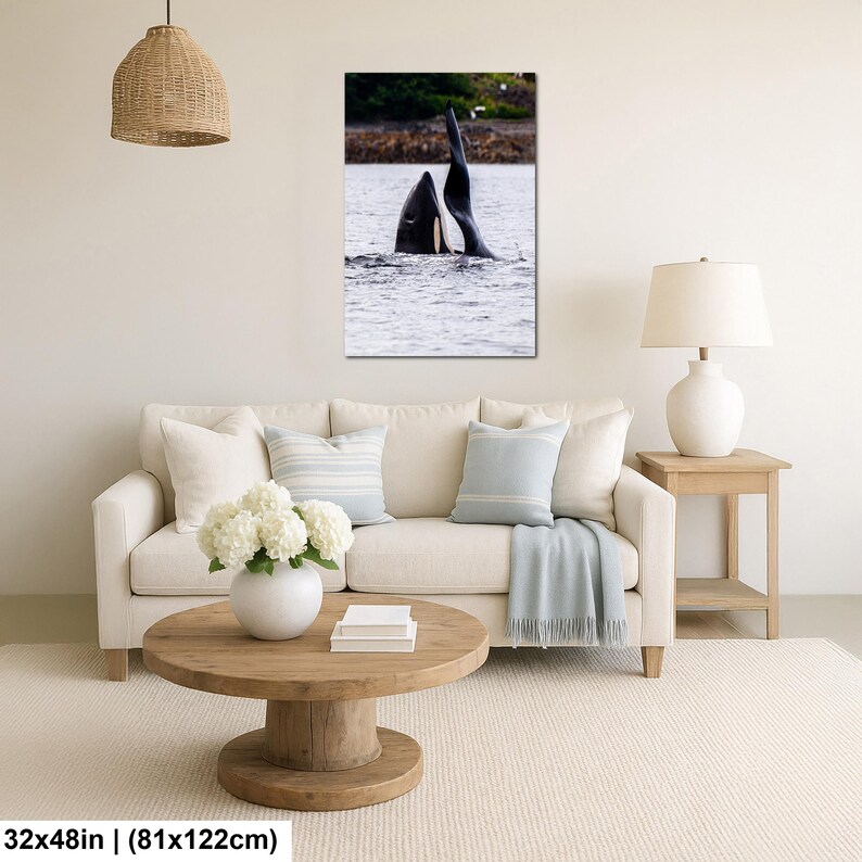 May include: A vertical wall art print featuring a black and white orca whale surfacing in the water with its dorsal fin visible. The artwork measures 32 inches by 48 inches and is displayed in a living room setting above a beige sofa.