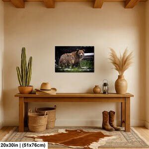May include: A rectangular wall art print featuring a brown grizzly bear standing in a grassy field with light snowfall. The artwork measures 51 cm by 76 cm and is displayed in a frame on a plain wall above a wooden console table.