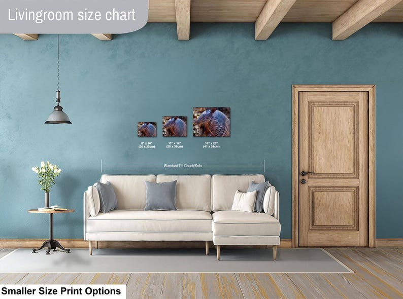 May include: A living room size chart displaying three rectangular wall art prints featuring an armadillo. The prints are labeled with dimensions 8" x 10", 11" x 14", and 16" x 20". The chart is positioned above a white sectional sofa.
