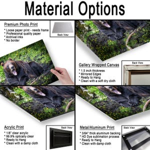 May include: A product display showing material options for a bear photograph print. Options include a premium photo print, gallery wrapped canvas with 1.5 inch thickness, acrylic print with 1/8 inch clear acrylic, and a metal aluminum print with 3/64 inch backing.