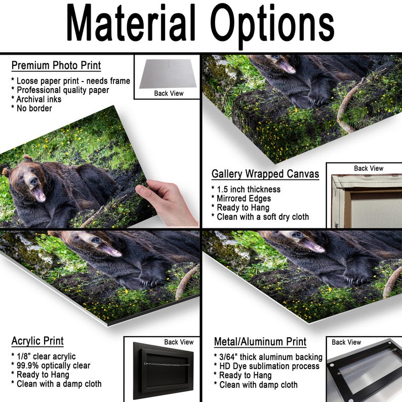 May include: A product display showing material options for a bear photograph print. Options include a premium photo print, gallery wrapped canvas with 1.5 inch thickness, acrylic print with 1/8 inch clear acrylic, and a metal aluminum print with 3/64 inch backing.