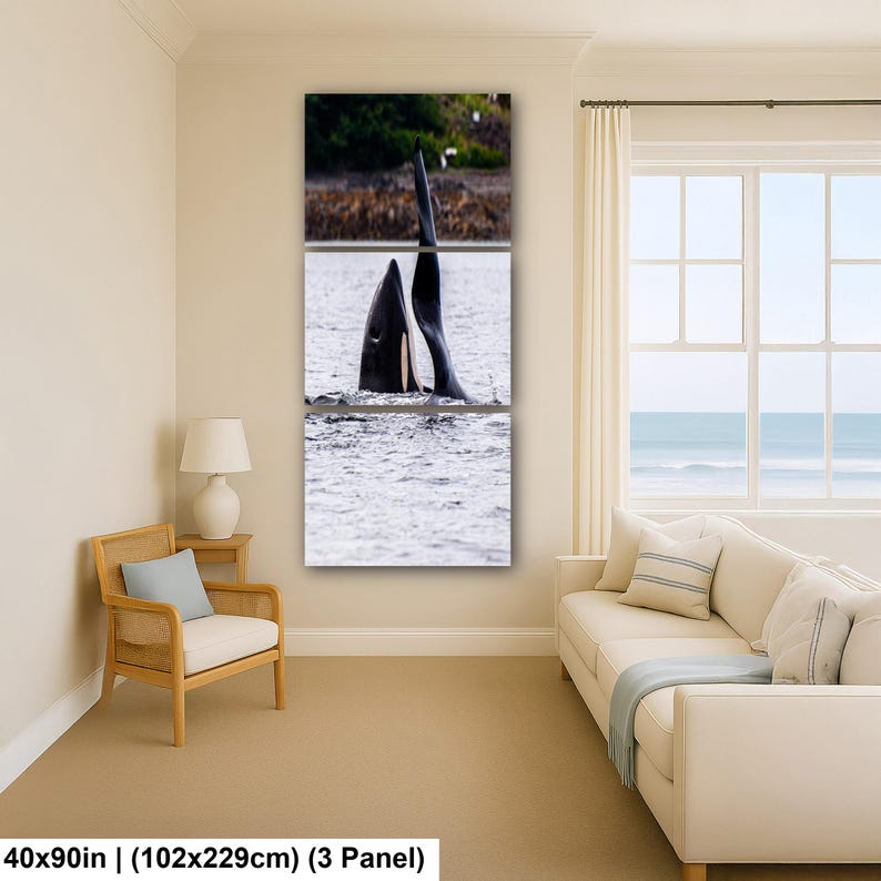 May include: A three-panel wall art set featuring a black and white photograph of an orca whale breaching the water surface. The image displays the dorsal fin and head of the whale against a shoreline background. The total size is 40x90 inches.