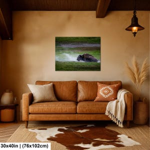 Bison Dust Bath Yellowstone Lamar Valley Fine Art 30x40 inches