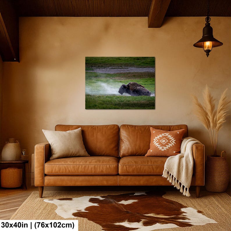 Bison Dust Bath Yellowstone Lamar Valley Fine Art 30x40 inches