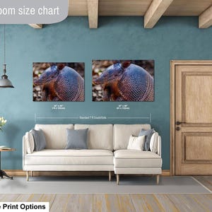 May include: A living room size chart featuring two rectangular wall art prints of an armadillo displayed above a cream-colored sectional sofa. The prints are labeled with dimensions of 30 x 40 inches and 32 x 48 inches, showing scale relative to a 7-foot couch.