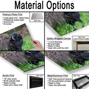 May include: A product information chart titled Material Options displaying four print types: Premium Photo Print, Gallery Wrapped Canvas with 1.5 inch thickness, Acrylic Print with 1/8 inch clear acrylic, and Metal/Aluminum Print with 3/64 inch backing.