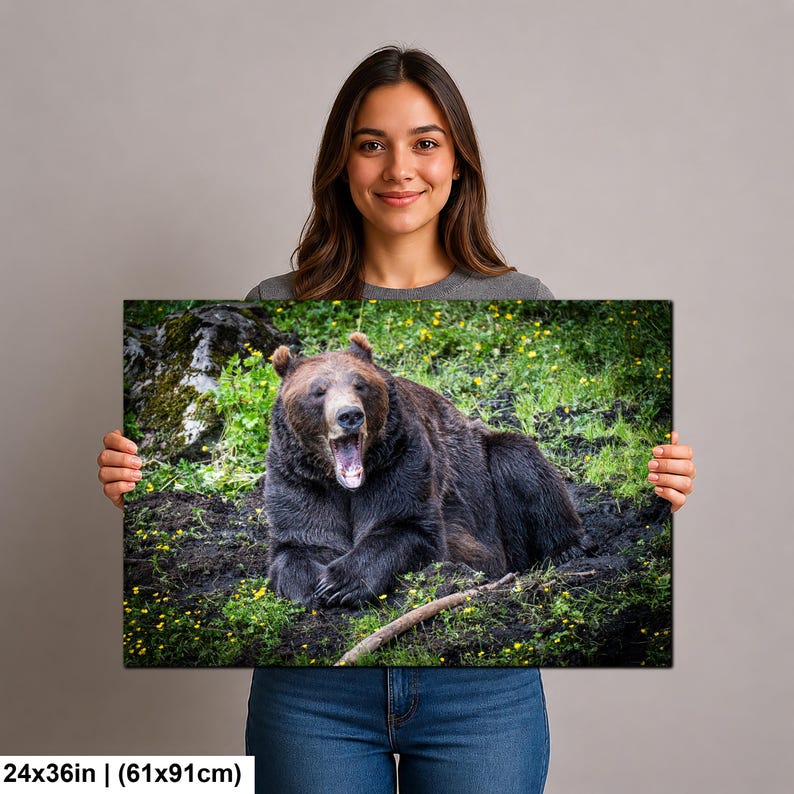 May include: A rectangular wall art print featuring a brown bear resting on dark soil amidst green grass and small yellow flowers. The bear has its mouth open, revealing teeth. The print measures 24 inches by 36 inches as indicated by the text.