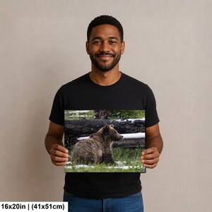 Yellowstone grizzlybjörnsprofil i sommarsnö fotografitryck bild 6