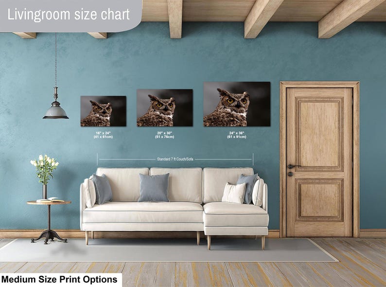 May include: A living room size chart displaying three rectangular wall art prints of a brown owl. The prints are labeled with dimensions: 16 x 24 inches, 20 x 30 inches, and 24 x 36 inches. The chart is positioned above a cream-colored sectional sofa.