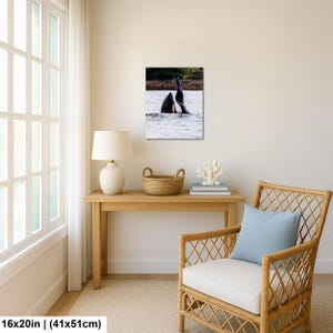 May include: A rectangular wall art print featuring a black and white orca whale breaching the surface of the water. The orca is shown with its dorsal fin and part of its back visible above the water line, set against a distant shoreline background.