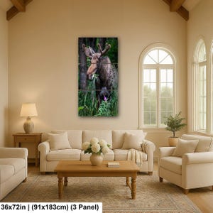 May include: A three-panel wall art set featuring a photograph of a brown moose standing in a green forest, eating foliage. The artwork measures 36 inches by 72 inches and depicts the animal among tall grasses and trees in a natural setting.