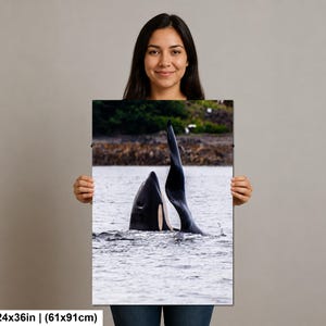 May include: A rectangular wall art print measuring 24 by 36 inches featuring a high-contrast photograph of an orca whale breaching the water surface. The black and white orca is shown with its dorsal fin and part of its back visible above the water.