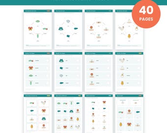 Può includere: Un set educativo stampabile di 40 pagine per le scienze prescolari intitolato LIFE CYCLES, AGES 3-6. La raccolta comprende schede didattiche che illustrano i cicli di vita di farfalle, rane, piante e polli, incluse attività di abbinamento e sequenza.