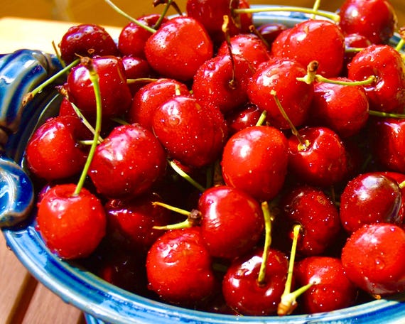 Red Cherries Blue Bowl - 8x10 Photographic Print
