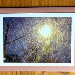 Op de afbeelding: Een foto van een straatbeeld 's nachts, met een heldergele straatlantaarn die vallende regen of sneeuw verlicht. Een elektriciteitspaal en boomtakken zijn zichtbaar tegen een donkerblauwe lucht. De foto is gemonteerd op een roze en witte passe-partout.