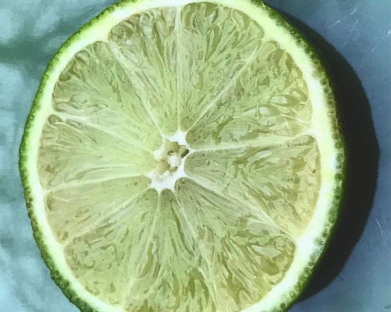 When Life Gives You Limes - 8x10 Photographic Print
