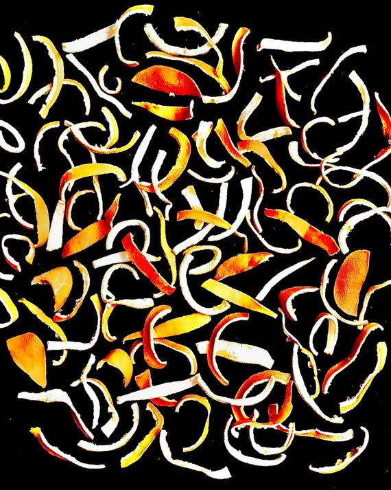 The Daily Rind - 8x10 Photographic Print