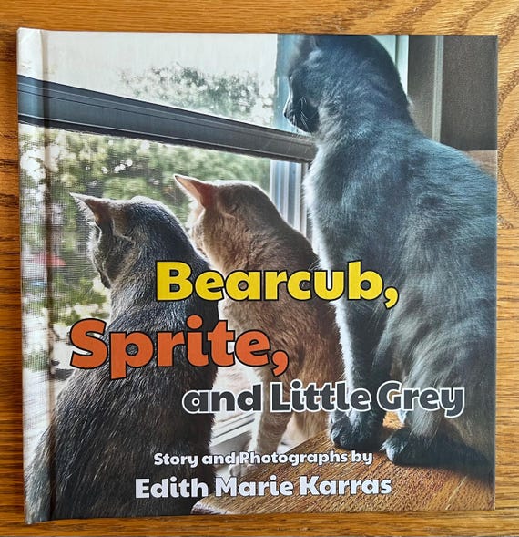 Bearcub, Sprite, and Little Grey - children's picture book with original photography