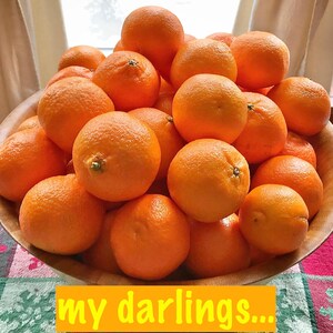 My Darling Clementines