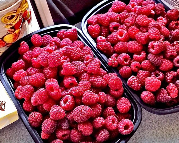 Bountiful Harvest - 8x10 Photographic Print