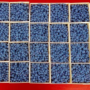 May include: A grid of twenty-four square wooden crates filled with fresh, round, dark blue blueberries. Each crate is packed to the brim with the small, spherical fruit, creating a uniform and repetitive pattern of deep blue tones across the display.