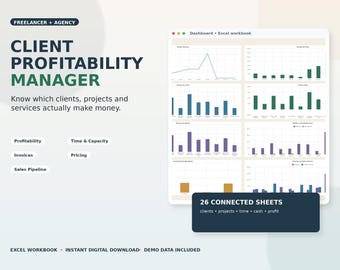 Client Profitability & Project Tracker