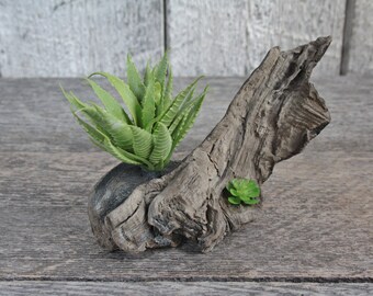 natural driftwood etsy