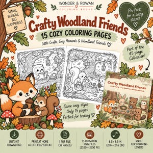 Può includere: Un libro da colorare digitale intitolato Crafty Woodland Friends con 15 pagine di animali del bosco. Include una volpe, uno scoiattolo e un gufo in un ambiente boschivo. Il prodotto è un download istantaneo con 15 file PNG e un PDF di 16 pagine.