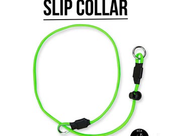Collare a strozzo per cani RCA Hardware – Regolabile, con anello in metallo per l'aggancio del guinzaglio.