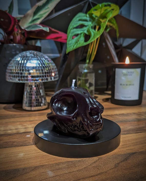 Gothic Cat Skull Candle | Macabre Feline Ornament Pillar | Unusual Unique Handmade Curio | Oddity Taxidermy Trinket | St